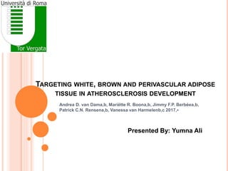 TARGETING WHITE, BROWN AND PERIVASCULAR ADIPOSE
TISSUE IN ATHEROSCLEROSIS DEVELOPMENT
Andrea D. van Dama,b, Mariëtte R. Boona,b, Jimmy F.P. Berbéea,b,
Patrick C.N. Rensena,b, Vanessa van Harmelenb,c 2017,⁎
Presented By: Yumna Ali
 