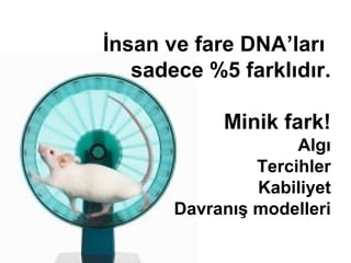 İnsan ve fare DNA’ları
   sadece %5 farklıdır.

            Minik fark!
                     Algı
                Tercihler
                Kabiliyet
       Davranış modelleri
 