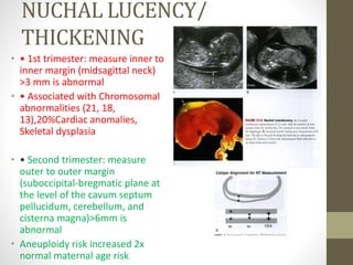 NUCHAL LUCENCY/
THICKENING
• • 1st trimester: measure inner to
inner margin (midsagittal neck)
>3 mm is abnormal
• • Associated with Chromosomal
abnormalities (21, 18,
13),20%Cardiac anomalies,
Skeletal dysplasia
• • Second trimester: measure
outer to outer margin
(suboccipital-bregmatic plane at
the level of the cavum septum
pellucidum, cerebellum, and
cisterna magna)>6mm is
abnormal
• Aneuploidy risk increased 2x
normal maternal age risk
 