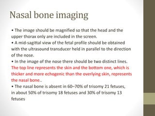 Nasal bone imaging
• The image should be magnified so that the head and the
upper thorax only are included in the screen.
• A mid-sagittal view of the fetal profile should be obtained
with the ultrasound transducer held in parallel to the direction
of the nose.
• In the image of the nose there should be two distinct lines.
The top line represents the skin and the bottom one, which is
thicker and more echogenic than the overlying skin, represents
the nasal bone..
• The nasal bone is absent in 60–70% of trisomy 21 fetuses,
in about 50% of trisomy 18 fetuses and 30% of trisomy 13
fetuses
 