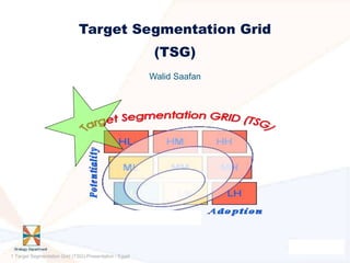 Target Segmentation Grid
                                                         (TSG)
                                                        Walid Saafan




1 Target Segmentation Grid (TSG)-Presentation / Egypt
 