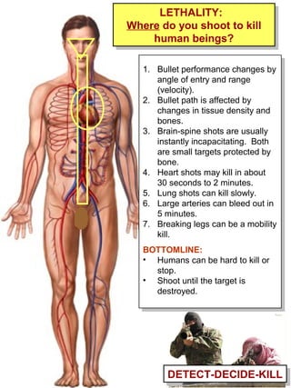 Small Arms Targets v3a | PPT