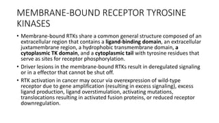 molecular biology and Target therapy in lung cancer | PPTX