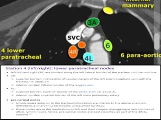 TARGET DELINEATION OF THORACIC NODAL. STATION | PPTX