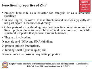 RIPER
AUTONOMOUS
NAAC &
NBA (UG)
SIRO- DSIR
Raghavendra Institute of Pharmaceutical Education and Research - Autonomous
K.R.Palli Cross, Chiyyedu, Anantapuramu, A. P- 515721 16
• Proteins bind zinc as a cofactor for catalysis or as a structural
stabilizer.
• In zinc fingers, the role of zinc is structural and zinc ions typically do
not participate in the function directly.
• Other parts of a zinc‐binding molecule bear functional importance. •
Small protein domains assembled around zinc ions are versatile
structural templates that perform various functions.
• They are involved in;
 nucleic acid (DNA and RNA) binding,
 protein–protein interactions,
 binding small ligands (lipids) and
 sometimes also possess enzymatic properties
Functional properties of ZFP
 