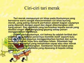 Ciri-ciri tari merak
Tari merak mempunyai ciri khas pada Kostumnya yang
berwarna warni sangat mencerminkan ciri khas burung
merak, yang paling menarik perhatian adalah bagian sayapnya
yang dipenuhi dengan payet dan dapat dibentangkan oleh
sang penari. Dan mahkota yang berhiaskan kepala merak yang
disebut singer akan bergoyang-goyang setiap penari
menggerakkan kepalanya.
Dalam pertunjukannya, ciri bahwa itu adalah terlihat dari
pakaian yang dipakai penarinya memiliki motif seperti bulu
merak. Kain dan bajunya menggambarkan bentuk dan warna
bulu-bulu merak; hijau biru dan/atau hitam. Ditambah lagi
sepasang sayapnya yang melukiskan sayap atau ekor merak
yang sedang dikembangkan. Gambaran merak bakal jelas
dengan memakai mahkota yang dipasang di kepala setiap
penarinya.

 