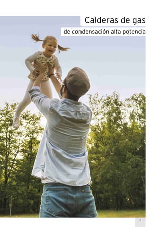 11
Calderas de gas
de condensación alta potencia
 