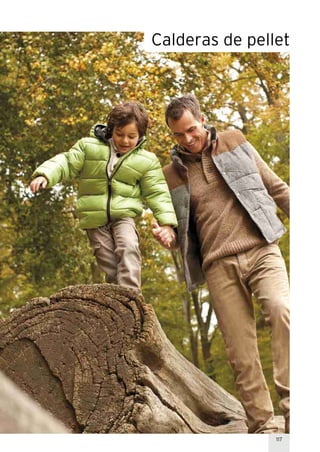 117
Calderas de pellet
 
