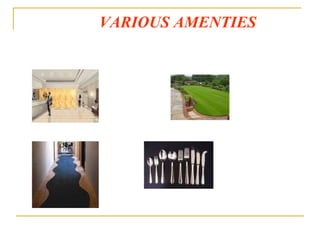 VARIOUS AMENTIES 