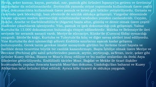 Pirinç, şeker kamışı, kayısı, portakal, nar, pamuk gibi ürünleri İspanya’ya getiren ve üretimini
sağlayanlar da müslümanlardır. Zeytincilik yanında ıtriyat yapımında kullanılmak üzere çeşitli
otlar, dokumacılıkta kullanılmak üzere pamuk ve keten gibi bitkiler yetiştiriliyordu. Gırnata ve
civarında ipek böcekçiliği, bazı yörelerde de arıcılık oldukça gelişmişti. Vizigotlar döneminde
ihmale uğrayan maden işletmeciliği müslümanlar tarafından yeniden canlandırıldı. Ceyyân,
Bulche, Aroche ve Garbülendülüs’te (Algarve) başta altın, gümüş ve demir olmak üzere çeşitli
madenler çıkartılarak işleniyordu. Yün, pamuk ve ipek dokumacılığı çok gelişmişti. Yalnız
Kurtuba’da 13.000 dokumacının bulunduğu rivayet edilmektedir. Mâleka ve Belensiye’de ileri
seviyede bir seramik sanayii vardı. Meriye’de züccaciye, Kûnke’de (Cuenca) fildişi oymacılığı
yaygındı. Şâtıbe’de kâğıt, Kurtuba ve Tuleytula’da kılıç ve diğer savaş aletleri imal ediliyordu.
Yine Kurtuba’da deri işlemeciliği şöhreti Endülüs sınırlarını aşacak kadar gelişmiş
bulunuyordu. Gerek tarım gerekse imalât sanayiinde görülen bu ilerleme ticarî hayata ve
özellikle deniz ticaretine büyük bir canlılık kazandırmıştı. Başta İşbîliye olmak üzere Meriye ve
Beccâne (Pechina) gibi sahil şehirlerinden pamuk, zeytin, zeytinyağı, za‘feran, incir, şeker gibi
ürünler Kuzey Afrika, Bizans ve Mısır’a ihraç ediliyor ve bu mallar oralardan da öteki Asya
ülkelerine götürülüyordu. Endülüslü tâcirler Mısır, Bağdat ve Mekke ile ticarî ilişkiler
kurmuşlardı; yapılan ihracata karşılık Mısır’dan dokuma, Uzakdoğu’dan baharat ve Kuzey
Afrika’dan tahıl ürünleri ithal edilirdi. Ayrıca köle ticareti de oldukça yaygındı.
 