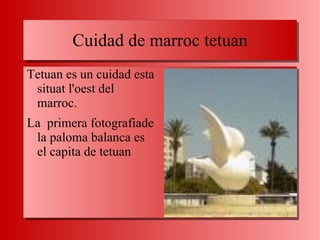 Cuidad de marroc tetuan Tetuan es un cuidad esta situat l'oest del marroc. La  primera fotografiade la paloma balanca es el capita de tetuan 