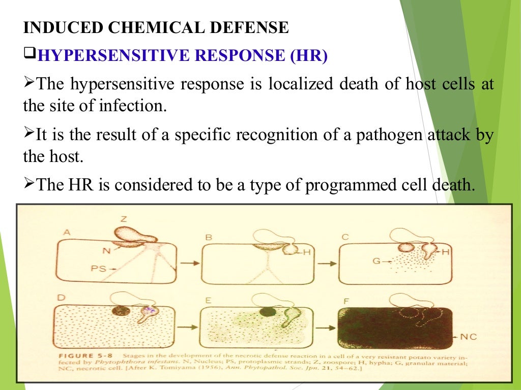 Defence mechanism in plants Preformed substances and structures.