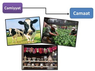 Cəmiyyət
           Camaat
 