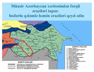 Tarix 11 201_kerbelayeva amana eldar