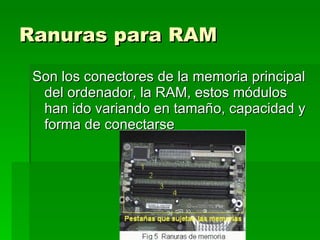 Ranuras para RAM   Son los conectores de la memoria principal del ordenador, la RAM, estos módulos han ido variando en tamaño, capacidad y forma de conectarse  