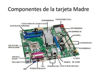 Componentes de la tarjeta Madre
 