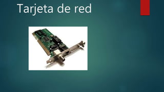 Tarjeta de red
 