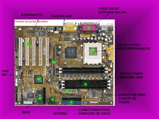 RANURAS PCI RANURA AGP PUERTOS DE ENTRADA-SALIDA ZÓCALO PARA MICROPROCESADOR ZOCALO PARA MEMORIA RAM CONECTOR PARA FUENTE DE   PODER CONECTORES PARA UNIDADES DE DISCO BATERIA BIOS CHIPSET 