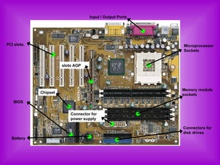 Input / Output Ports  PCI slots.   Microprocessor Sockets  Memory module sockets   Connectors for disk drives   Connector for power supply   slots  AGP Chipset Battery   BIOS 