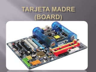 TARJETA mADRE(board) 