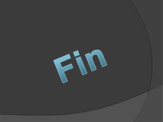 Fin 