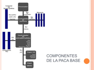COMPONENTES DE LA PACA BASE