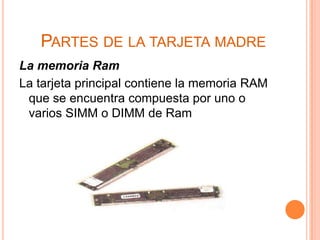 PARTES DE LA TARJETA MADRE
La memoria Ram
La tarjeta principal contiene la memoria RAM
 que se encuentra compuesta por uno o
 varios SIMM o DIMM de Ram
 