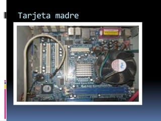 Tarjeta madre
 