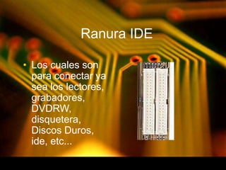 Ranura IDE 
• Los cuales son 
para conectar ya 
sea los lectores, 
grabadores, 
DVDRW, 
disquetera, 
Discos Duros, 
ide, etc... 
 