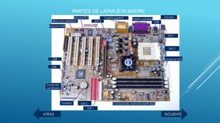 Ranura CNR
Bios con redstorm
Ranura PCI
SW 3
Puerto joystick Puerto paralelo
USB
Zócalo
SW 1
SW 2
Conector ATX
Conectores memoria DDR 266
IDE 1
IDE 2batería
Conector
ventilador
USB
USB
PARTES DE LATARJETA MADRE
SIGUIENTEATRAS
 