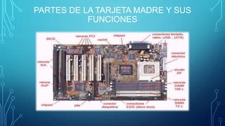 PARTES DE LA TARJETA MADRE Y SUS
FUNCIONES
 