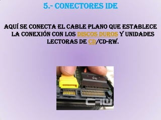 5.- Conectores IDEaquí se conecta el cable plano que establece la conexión con los discos duros y unidades lectoras de CD/CD-RW.