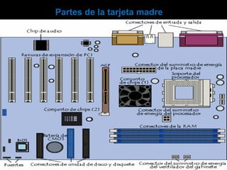 Partes de la tarjeta madre
 