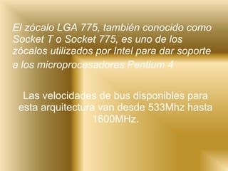 El zócalo LGA 775, también conocido como Socket T o Socket 775, es uno de los zócalos utilizados por Intel para dar soporte a los microprocesadores Pentium 4   Las velocidades de bus disponibles para esta arquitectura van desde 533Mhz hasta 1600MHz. 