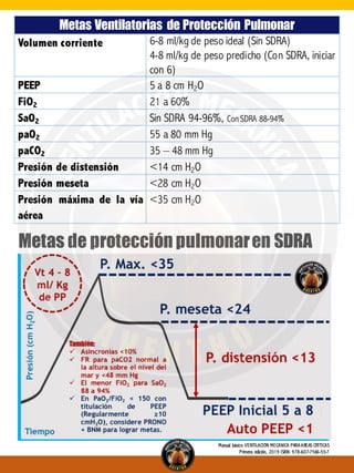 Metas Ventilatorias de Protección Pulmonar
Volumen corriente 6-8 ml/kg de peso ideal (Sin SDRA)
4-8 ml/kg de peso predicho (Con SDRA, iniciar
con 6)
PEEP 5 a 8 cm H2O
FiO2 21 a 60%
SaO2 Sin SDRA 94-96%, Con SDRA 88-94%
paO2 55 a 80 mm Hg
paCO2 35 – 48 mm Hg
Presión de distensión <14 cm H2O
Presión meseta <28 cm H2O
Presión máxima de la vía
aérea
<35 cm H2O
Metas de protección pulmonaren SDRA
Manual básico VENTILACIÓN MECÁNICA PARA AREAS CRÍTICAS
Primera edición, 2019 ISBN: 978-607-7566-55-7
 