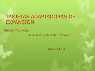 PRESENTADO POR:
              Paula Andrea González Azcarate




                            GRADO 11-3
 