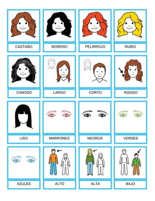 CASTAÑO
CANOSO
PELIRROJOMORENO RUBIO
LARGO CORTO
LISO MARRONES
RIZADO
ALTOAZULES ALTA BAJO
VERDESNEGROS