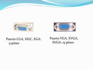 Puerto CGA, HGC, EGA: 
9 pines 
Puerto VGA, XVGA, 
SVGA: 15 pines 
 