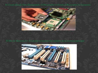 El Zócalo Donde Esta Descansando El Procesador O Donde el Procesador Se Encuentra




El Slot de Memoria Es En donde se insertan los módulos de la memoria principal
 
