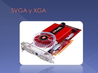 SVGA y XGA