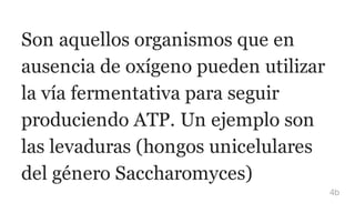 Son aquellos organismos que en
ausencia de oxígeno pueden utilizar
la vía fermentativa para seguir
produciendo ATP. Un ejemplo son
las levaduras (hongos unicelulares
del género Saccharomyces)
4b
 