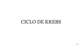 CICLO DE KREBS
8a
 