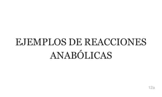 EJEMPLOS DE REACCIONES
ANABÓLICAS
12a
 