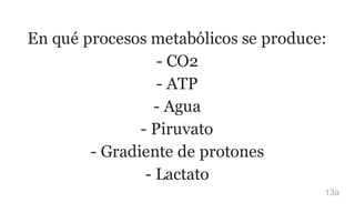 En qué procesos metabólicos se produce:
- CO2
- ATP
- Agua
- Piruvato
- Gradiente de protones
- Lactato
13a
 