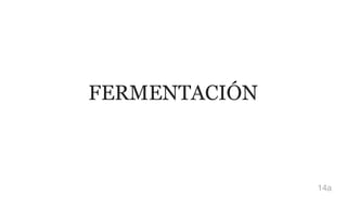 FERMENTACIÓN
14a
 