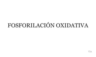 FOSFORILACIÓN OXIDATIVA
15a
 