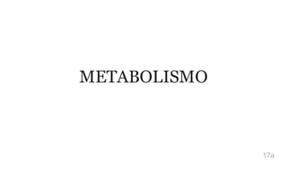 METABOLISMO
17a
 