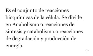 Es el conjunto de reacciones
bioquímicas de la célula. Se divide
en Anabolismo o reacciones de
síntesis y catabolismo o reacciones
de degradación y producción de
energía.
17b
 