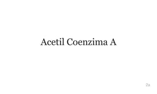 Acetil Coenzima A
2a
 