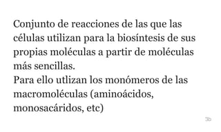 Conjunto de reacciones de las que las
células utilizan para la biosíntesis de sus
propias moléculas a partir de moléculas
más sencillas.
Para ello utlizan los monómeros de las
macromoléculas (aminoácidos,
monosacáridos, etc)
3b
 